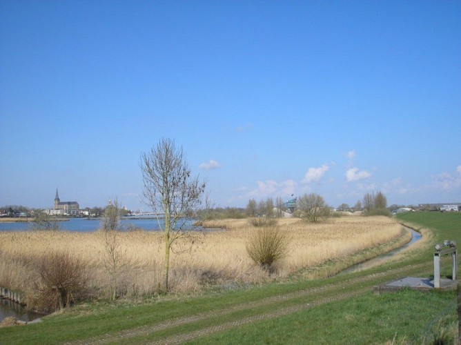 bed and breakfast 2 019